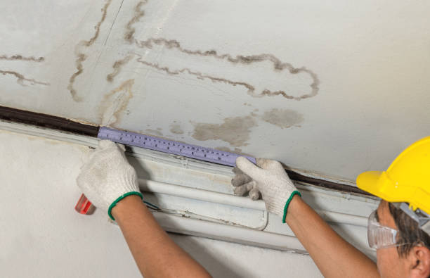 Reliable Basement Water Removal contractor in Fort Recovery, OH by Water Damage Irwin